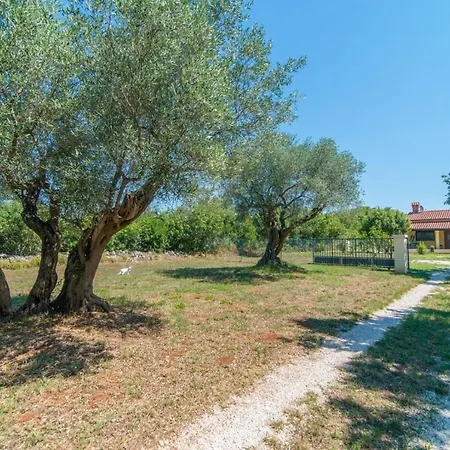 Casa Val Vidal Holiday home