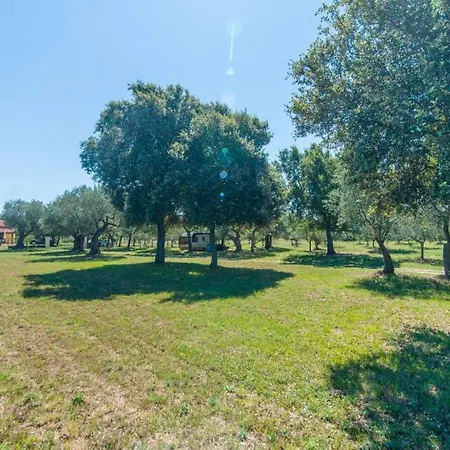 Casa Val Vidal Holiday home *